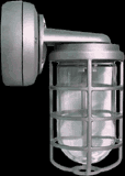 RAB Lighting VXBR2F42-3/4 - Vaporproof, 3200 lumens, CFL Bracket 42W Qt 3/4, with Glass globe, cast guard
